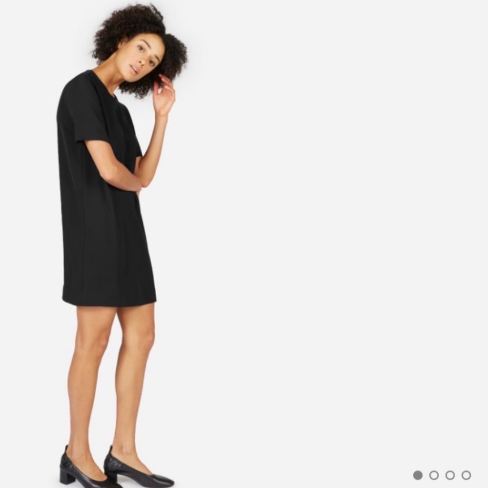 Everlane Japanese GoWeave Zip Tee Dress - Size 0 Black